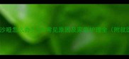 宝宝声音沙哑怎么办5大常见原因及家庭护理全附就医指南