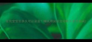 生完宝宝后多久可以染发哺乳期染发全攻略及安全指南