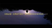 孕期必看白果能不能吃营养师教你科学食用指南