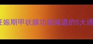 孕妇甲减病因全妊娠期甲状腺功能减退的5大诱因及科学应对措施