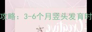宝宝竖头训练全攻略3-6个月竖头发育时间表及正确方法