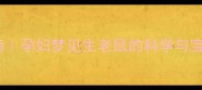 孕期胎梦指南孕妇梦见生老鼠的科学与宝宝健康建议