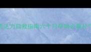 孕中期心慌乏力自救指南六个月孕妈必看补气血全攻略