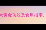 孕期营养必看海苔的7大黄金功效及食用指南胎宝发育与母体健康全