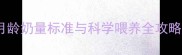 初生宝宝喂养指南0-12月龄奶量标准与科学喂养全攻略附24小时喂养时间表