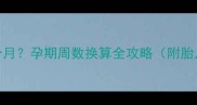 27周3天是几个月孕期周数换算全攻略附胎儿发育特征