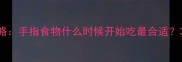 宝宝辅食添加全攻略手指食物什么时候开始吃最合适3-12个月喂养指南