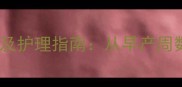 早产儿存活时间及护理指南从早产周数到家庭照护全