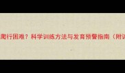 11个月宝宝爬行困难科学训练方法与发育预警指南附训练视频