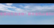 满月宝宝吐奶带黄绿色泡沫物新手爸妈必看的吐奶急救指南