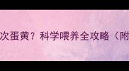 7个月宝宝一周吃几次蛋黄科学喂养全攻略附食谱与注意事项