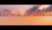 孕妇梦见大乌龟追自己预示胎儿发育科学梦境与孕期健康的关系