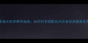 三个月大的泰迪犬科学喂养指南如何科学搭配幼犬饮食促进健康发育附食谱