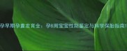 孕早期孕囊发育全孕8周宝宝性别鉴定与科学保胎指南