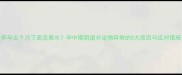 怀孕五个月下面流黄水孕中期阴道分泌物异常的5大原因与应对措施